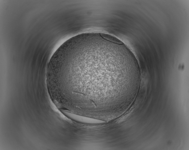 X0000090771390200708031643
