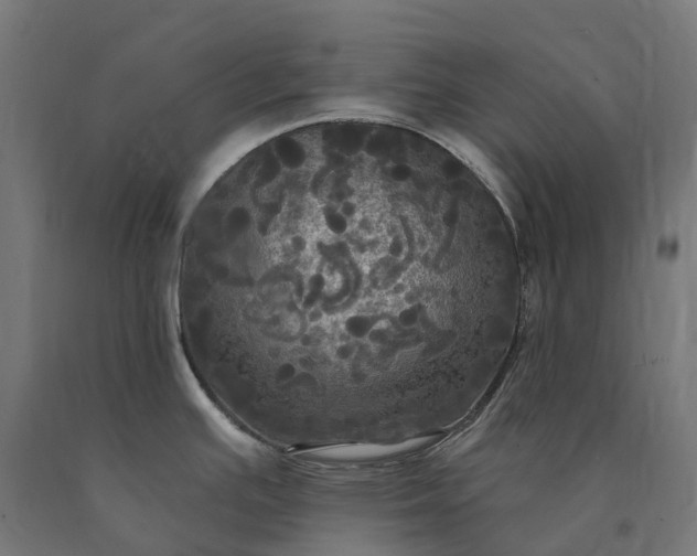X0000090771391200708031643