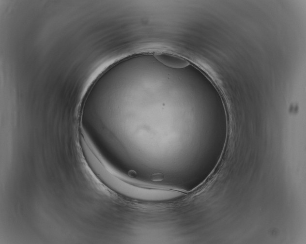 X0000090771392200708031643