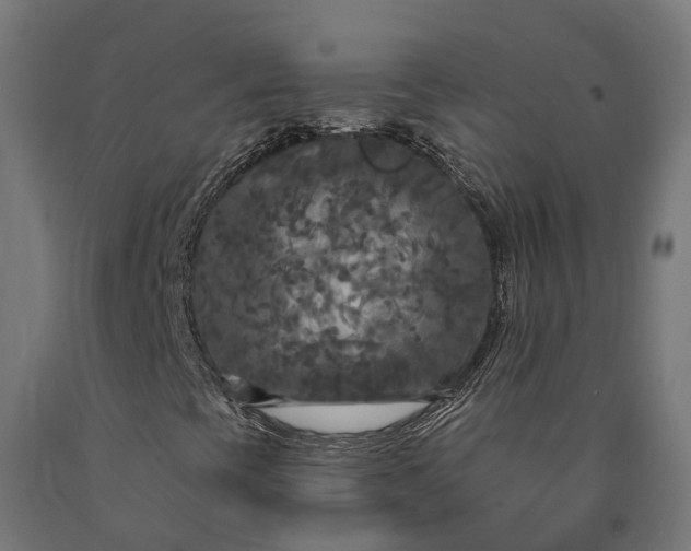 X0000090771393200708031642