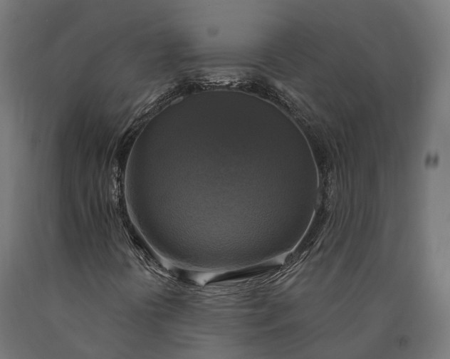 X0000090771394200708031642