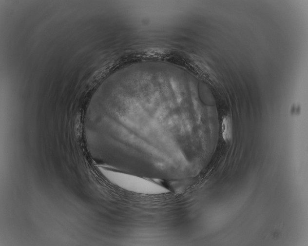 X0000090771395200708031642