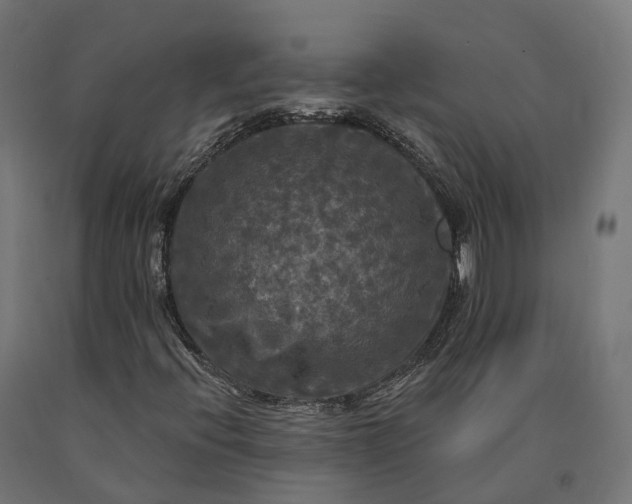 X0000090771396200708031642