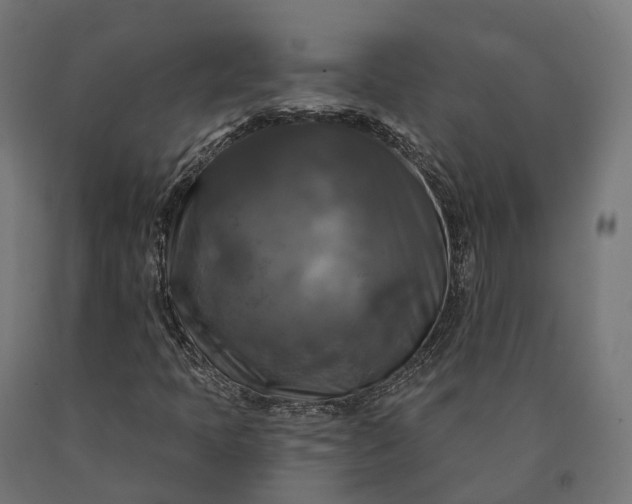 X0000090771397200708031642