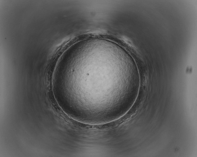 X0000090771398200708031642