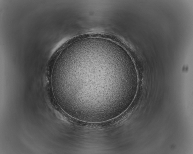 X0000090771400200708031642