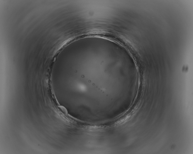X0000090771401200708031642