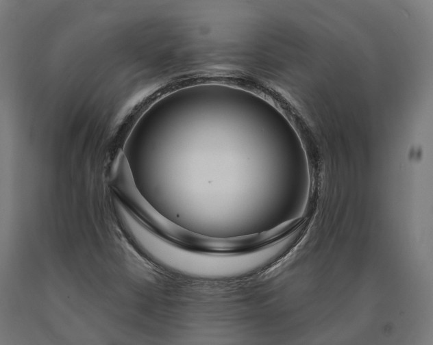 X0000090771402200708031642