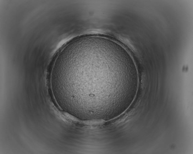 X0000090771404200708031642