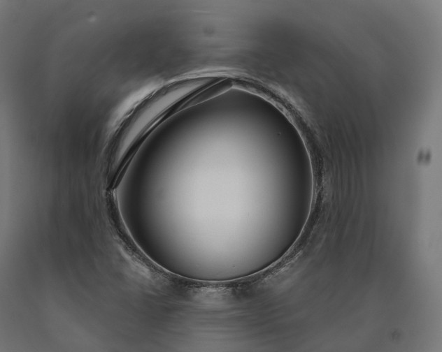 X0000090771406200708031642