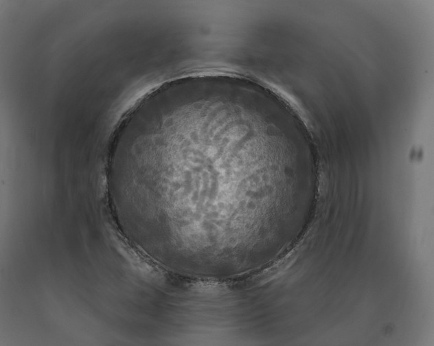 X0000090771407200708031642