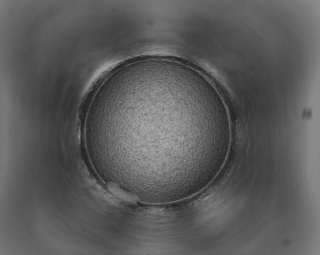 X0000090771408200708031642