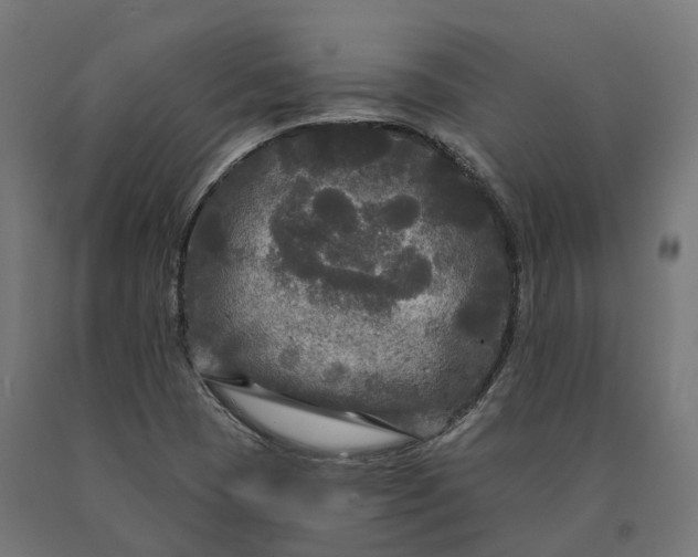 X0000090771409200708031642