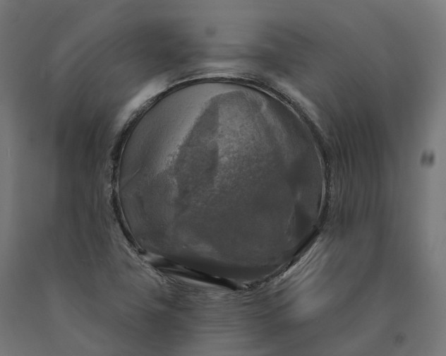 X0000090771411200708031642