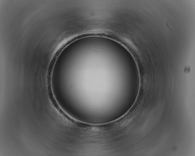 X0000090771412200708031642