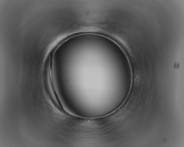 X0000090771414200708031642