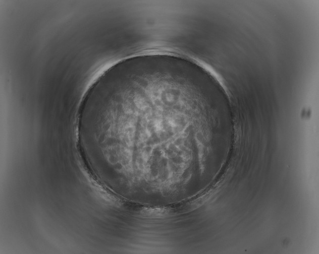 X0000090771415200708031642