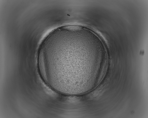 X0000090771416200708031642
