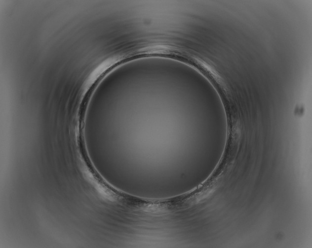 X0000090771418200708031642