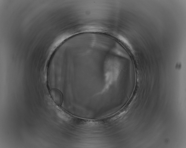 X0000090771419200708031642