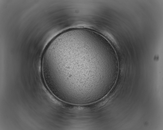 X0000090771420200708031642