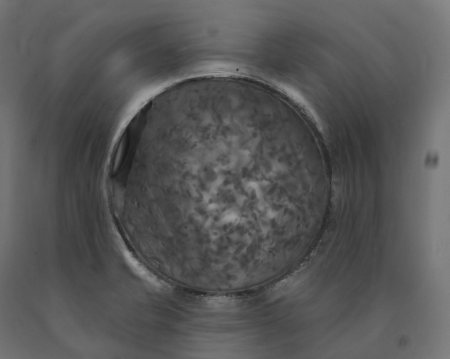 X0000090771421200708031642