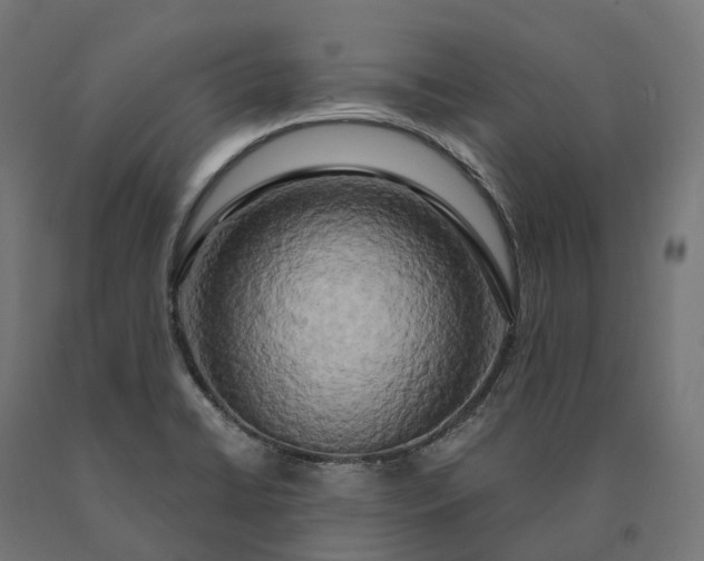 X0000090771422200708031642