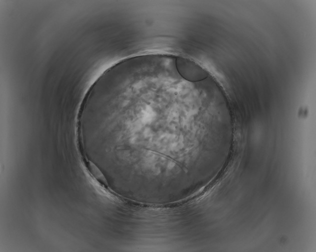X0000090771423200708031642