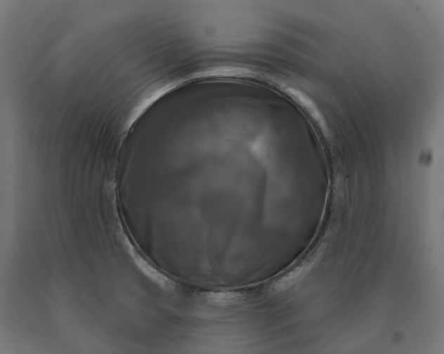 X0000090771425200708031642