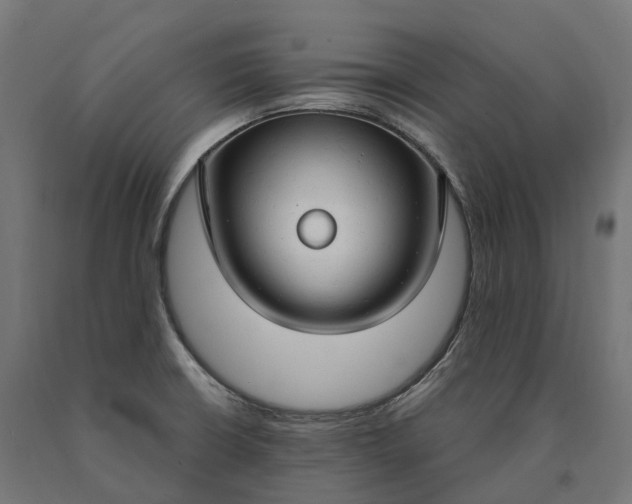 X0000090771426200708031642