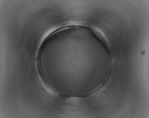 X0000090771427200708031642