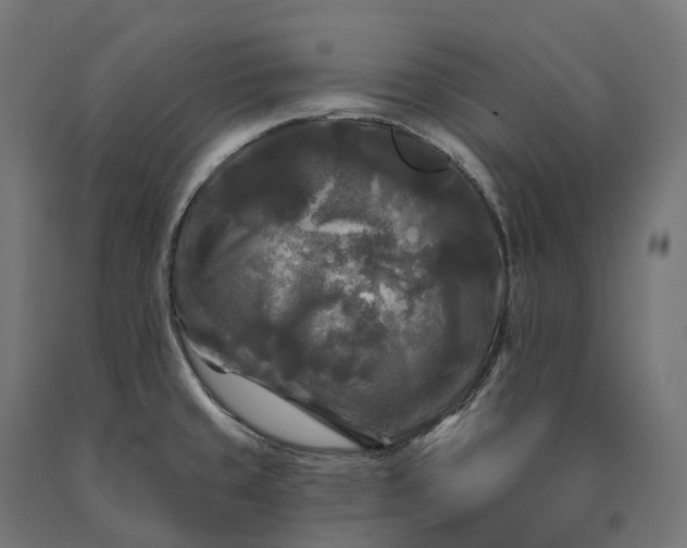 X0000090771429200708031642