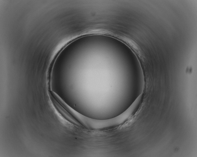 X0000090771430200708031642