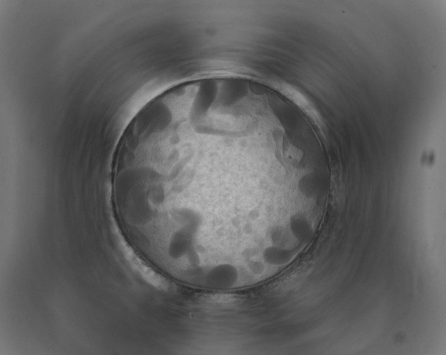 X0000090771431200708031642