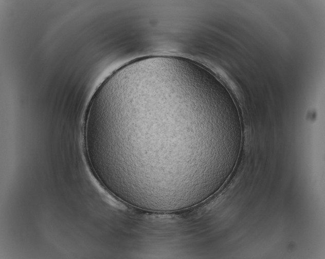 X0000090771432200708031642