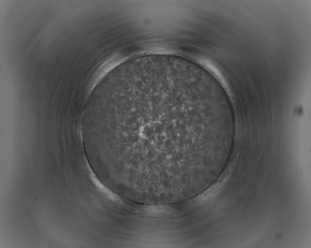 X0000090771433200708031642