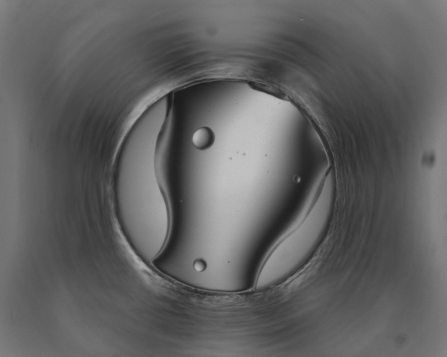 X0000090771434200708031643