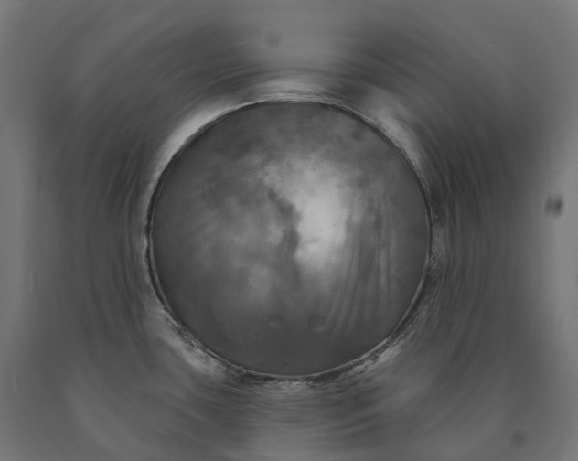X0000090771435200708031643