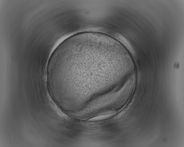 X0000090771436200708031643