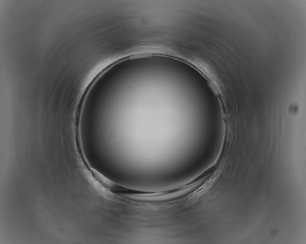 X0000090771438200708031643