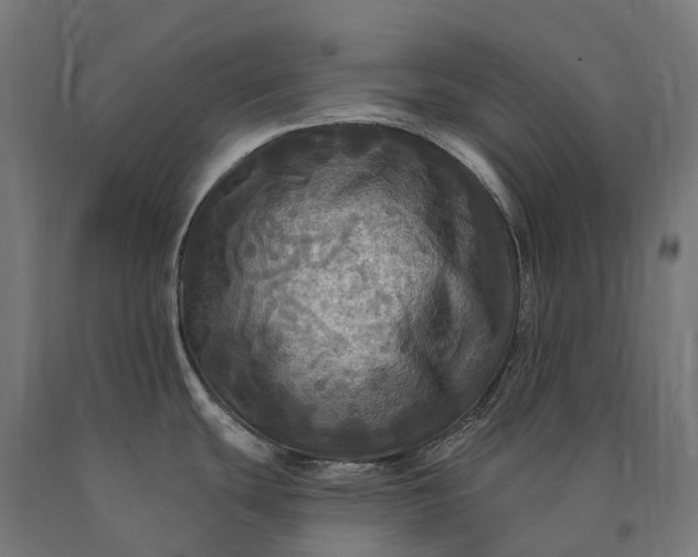 X0000090771439200708031643