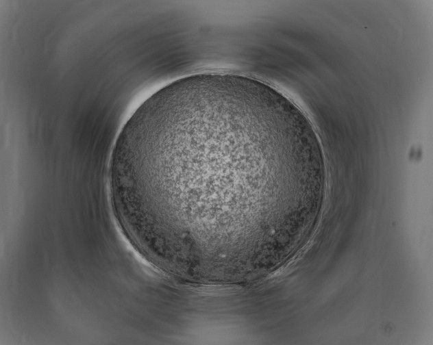 X0000090771440200708031643