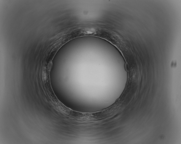 X0000090771442200708031642