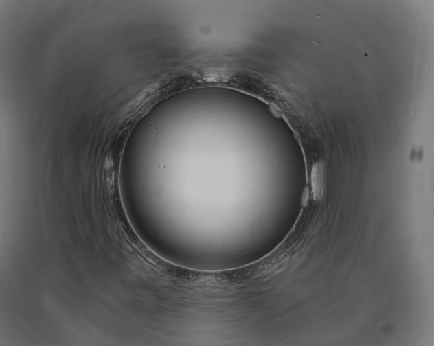 X0000090771443200708031642