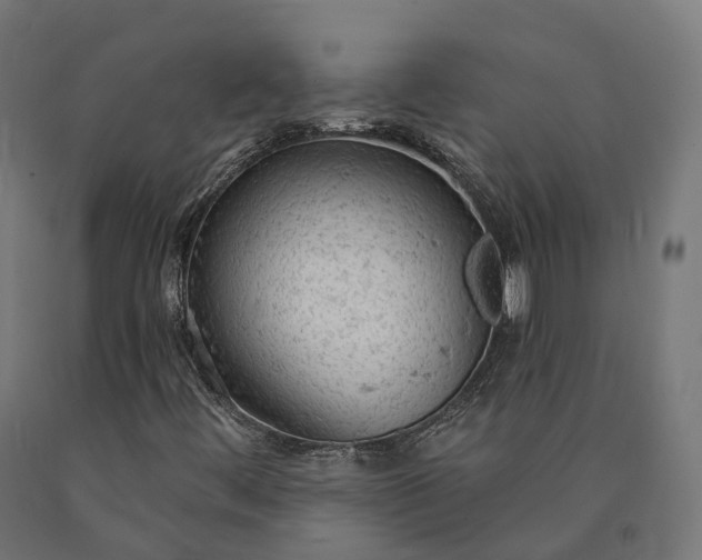 X0000090771444200708031642