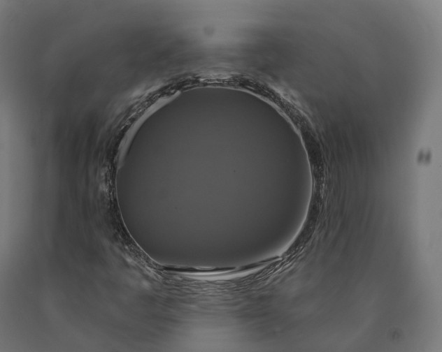 X0000090771445200708031642