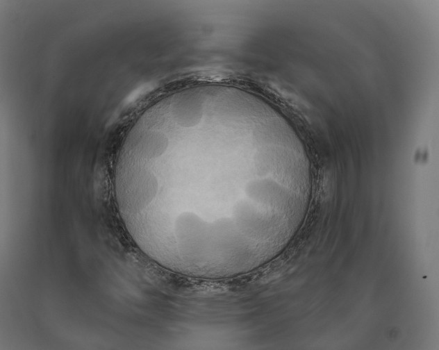X0000090771446200708031642
