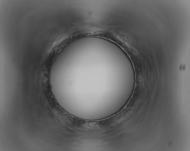 X0000090771447200708031642