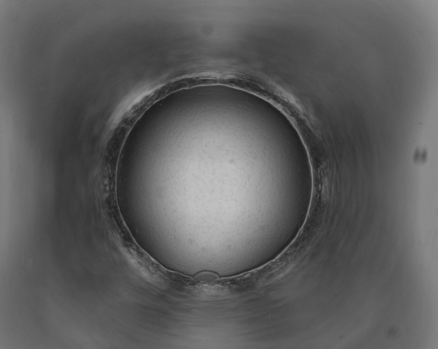 X0000090771448200708031642
