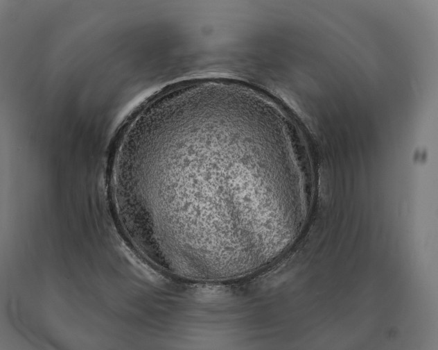 X0000090771452200708031642